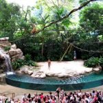 Singapore-Zoo-Ticket-04