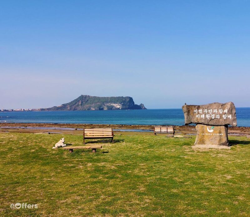 Aqua Planet Jeju Admission Ticket | we-offers.com