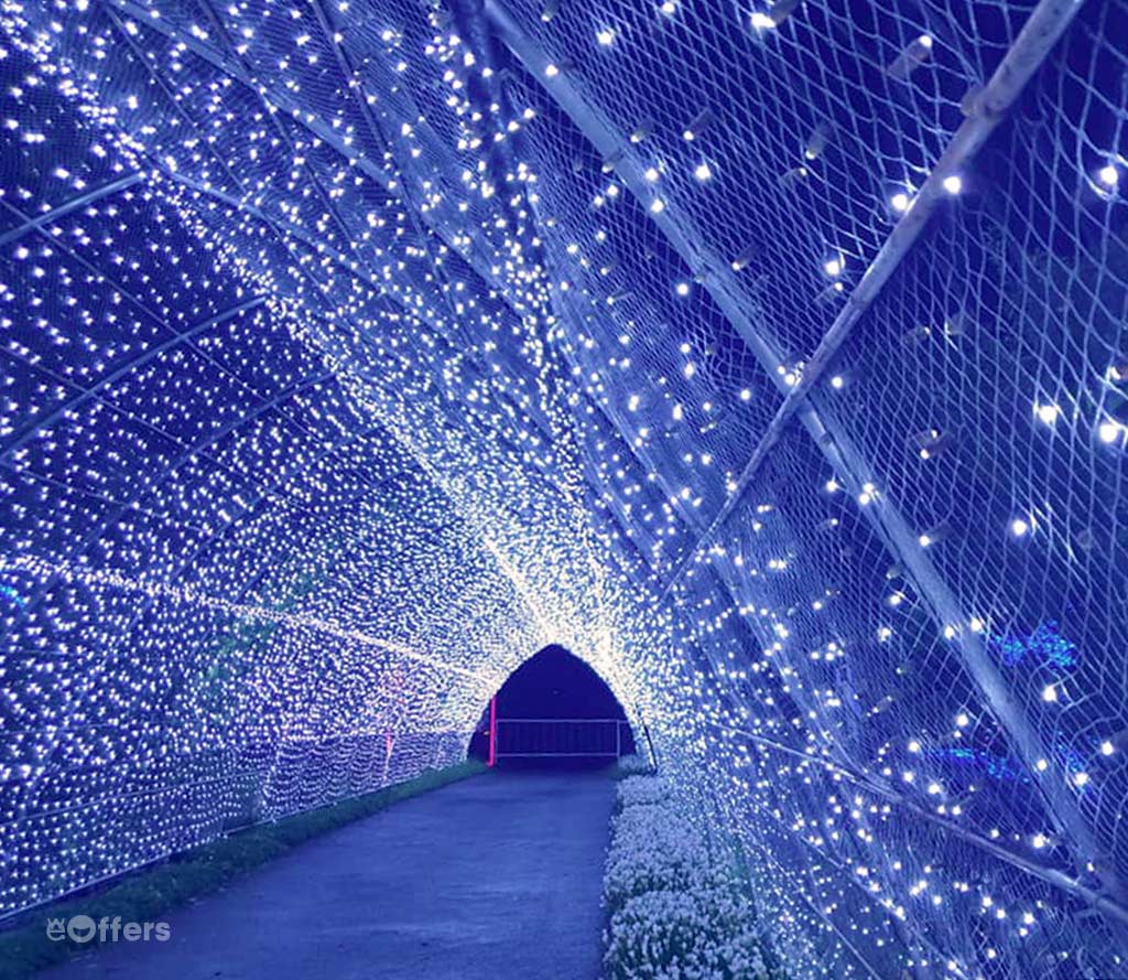 Jeju Light Garden Ticket | we-offers.com