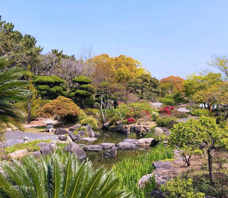 Yeomiji Botanical Garden Ticket