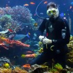 Long-Island-Aquarium-01