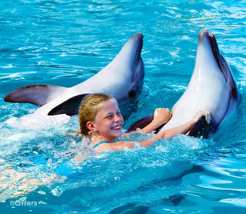 Pattaya-Dolphinarium-Swim-with-Dolphin-03
