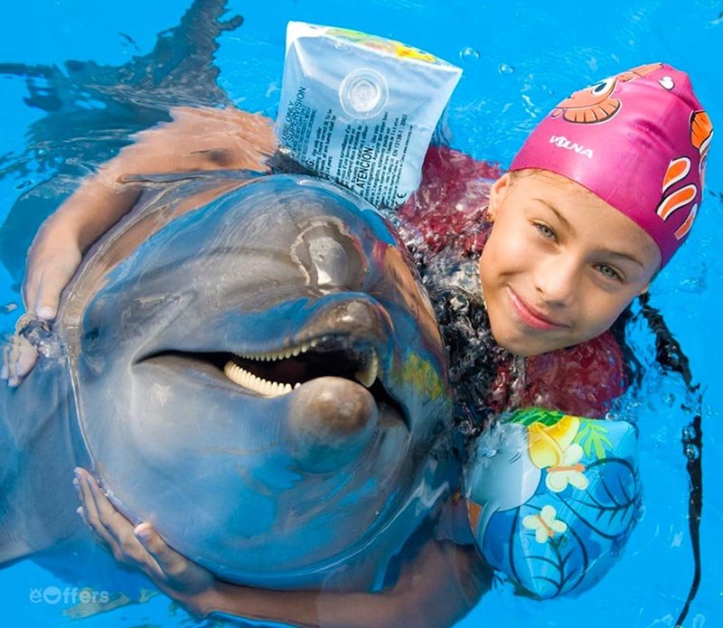 Pattaya-Dolphinarium-Swim-with-Dolphin-04