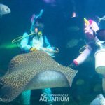 chiangmai-zoo-aquarium-admission-ticket-1