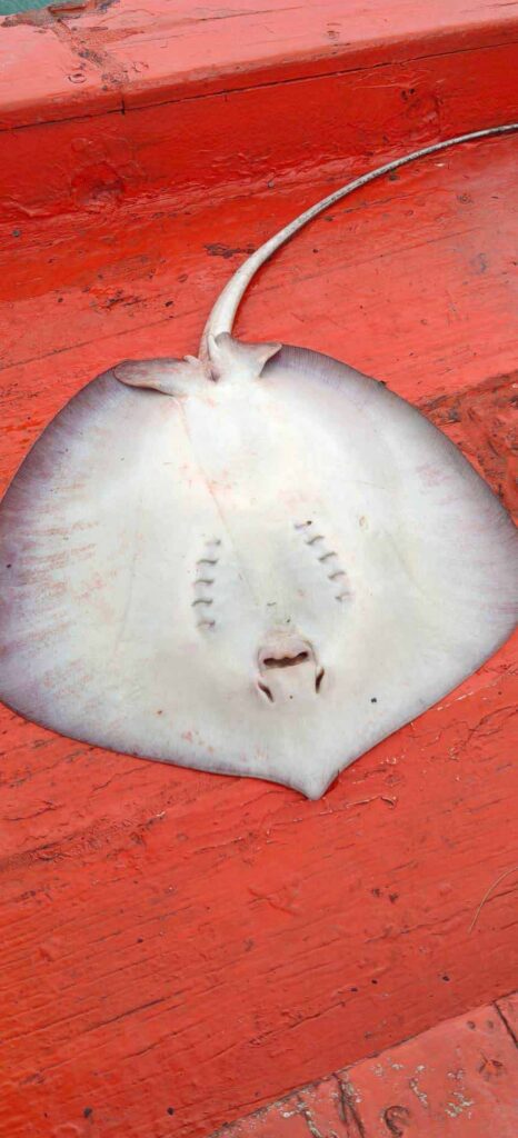 Image #1 from Tammy T.