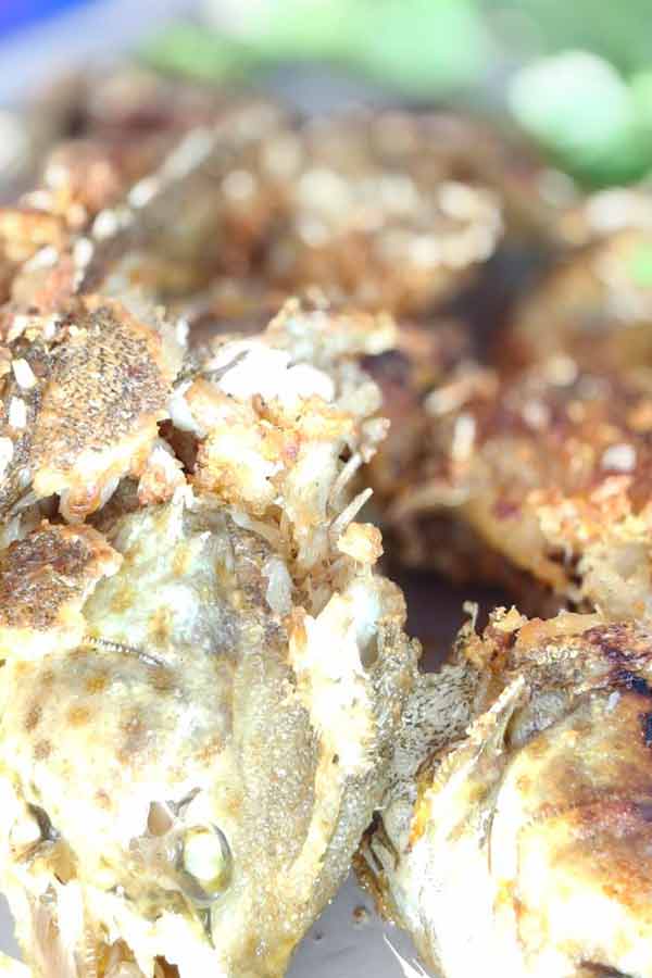 Image #4 from Vendula B.