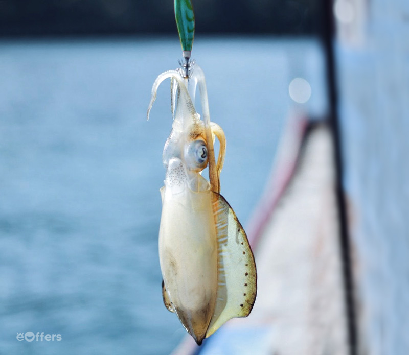 private-squid-fishing-trip-byfisheman-boat-pattaya-05