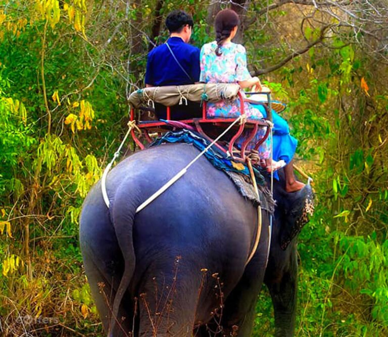 hua hin safari & adventure park prices