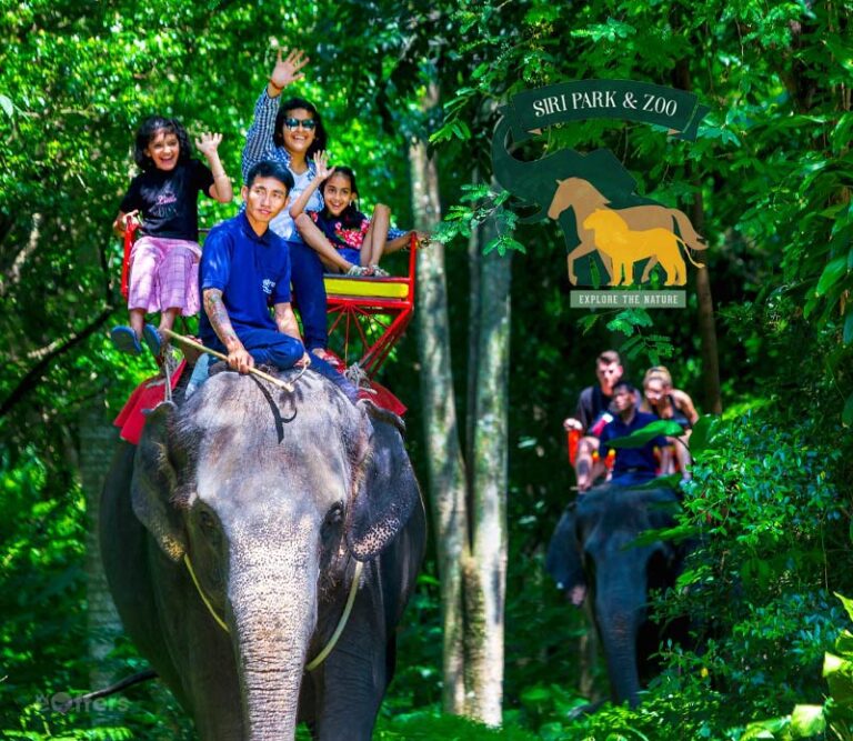 Siri Park And Zoo By Sriracha Tiger Zoo Ticket | We-offers.com