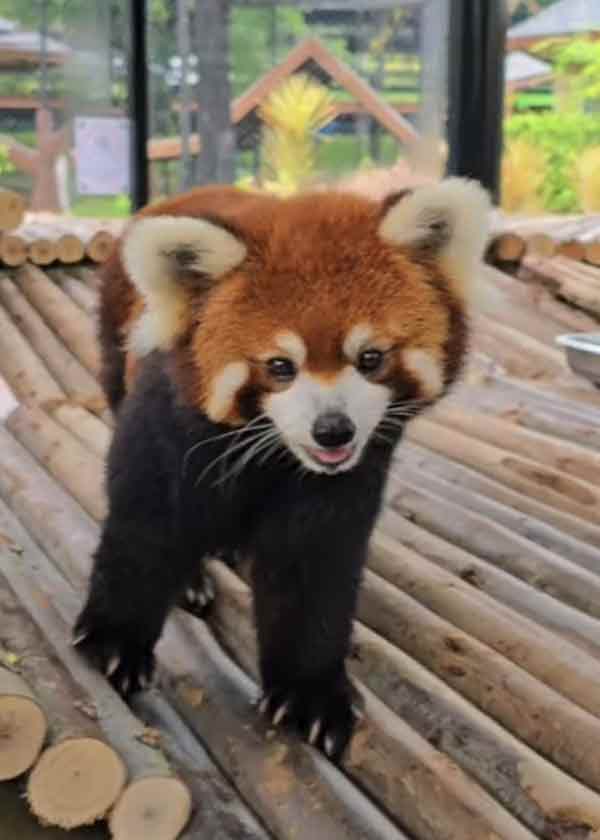 Image #2 from Kim Lu