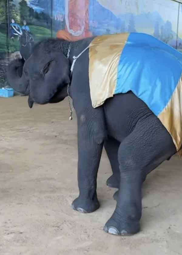 Image #1 from Kim Lu