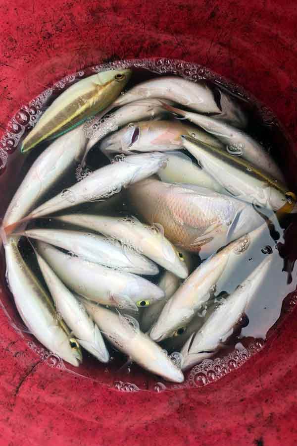 Image #4 from Tucker L.