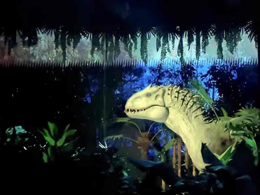 Image #1 from Jessie P.