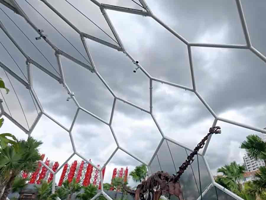 Image #3 from Jessie P.