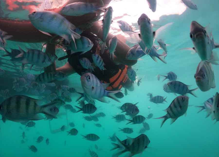 Image #2 from K. Kamolchanok