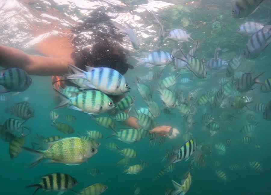 Image #3 from K. Kamolchanok